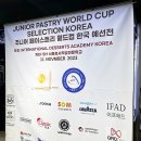 비앤씨에프앤비