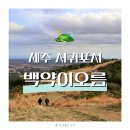 성읍리-7 | 제주 가볼만한 곳 백약이오름 소요 시간 주차장 후기