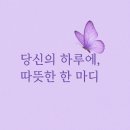 작은쉼터 스텔라 이미지