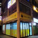 강남언니애견미용호텔 이미지