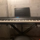 인피아노학원 이미지