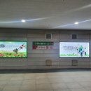 송파농협하나로마트 본점