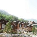 정선 도원펜션&캠핑장 이미지