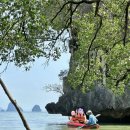 Hi,댕댕 | Phuket | Thailand