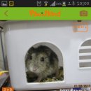 블루동물종합병원 이미지