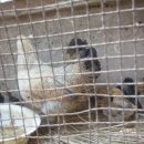 선배네농장 이미지