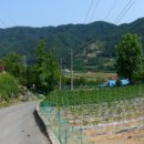 산지골민박 이미지