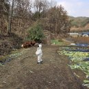 대단해농장 이미지