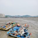 인천 소래포구ㅡ 시흥 월곶포구ㅡ소래포구역 ㅡ 월곶역 ㅡ달월역 ㅡ 오이도역 ㅡ인천광역시 남동구 논현동에 있는 어항. 이미지
