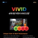 샵비비드(#vivid) 이미지