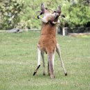 형제농장A 이미지