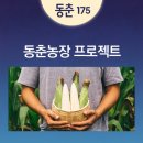 동춘농장 네이버블로그