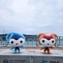 흥 소프트 | [ 전남 여수 소노캄] 여수엑스포역/ 소노캄 호텔/이순신 광장/낭만포차/돌문어상회/여수밤바다🐬💙
