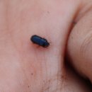 하늘소농장 이미지