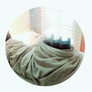 유성카프라자 이미지