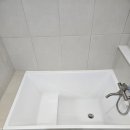 소망애견 이미지