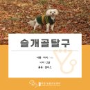 검단이담동물의료센터 이미지