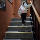 스테이 패스포트 익스프레스 당산점 이미지