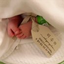 진아이텍 | 신생아 촬영 소품: 뉴본태그 신생아 이름텍 찐후기