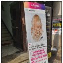 홍hair(홍헤어)