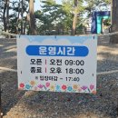 대왕암공원입구화장실 | 경남 울산 가볼만한 곳, 대왕암공원 출렁다리 후기