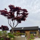 파베뉴(Pavenue) 이미지