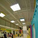 포유동물병원 이미지