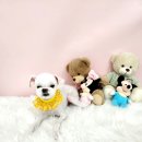 몽개몽개 애견미용실 이미지