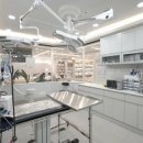 진접동물병원 이미지