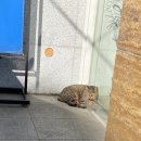 방배로16길 16-10 이미지