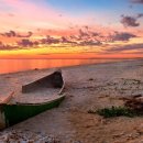 씨즈더데이 이미지