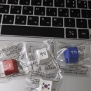 GS25 구포만세점 | GS25 광복절 도시락 후기 (대한 독립 만세 태극기 키캡 4종)