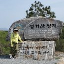 천안 성거산 성지