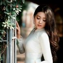 항구도시 이미지