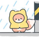 아이엠원 이미지