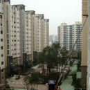 일신건설(주) Daum카페
