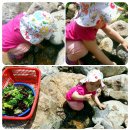 고향펜션캠핑 이미지