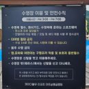 워킹펫살롱 | 서울근교 1박2일 여행지 가평글램핑장 추천 더플래츠글램핑