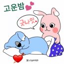 굿나잇
