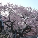 모악산 일주문 | 모악산 심원암길~모악정길