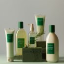 스킨N스칼프 이미지