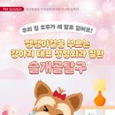 힘찬동물병원 이미지