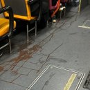 이중돈곱창 | 가을 타는 줄 알았는데 입맛만 살았더라