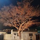 수생당한의원 이미지