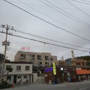 예원펜션 | 울진 수산시장 후기 추천메뉴 #가리비 #바위굴 #전복 #소라 #소담펜션
