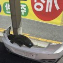 아지트케이 감이점 | 부산과 안양 사이 대전