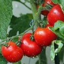 신북농협 이미지