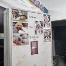 박대성카센타 이미지