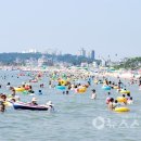 대천해수욕장 이미지