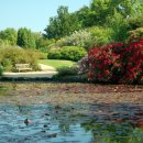 연못이 있는 풍경 이미지